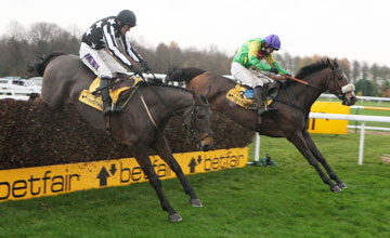 horses hurdle 2.jpg